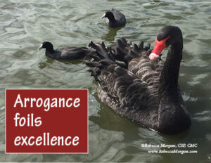 Arrogance foils excellence